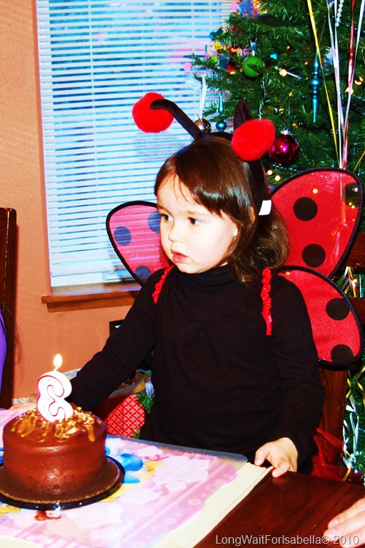 ladybug birthday girl