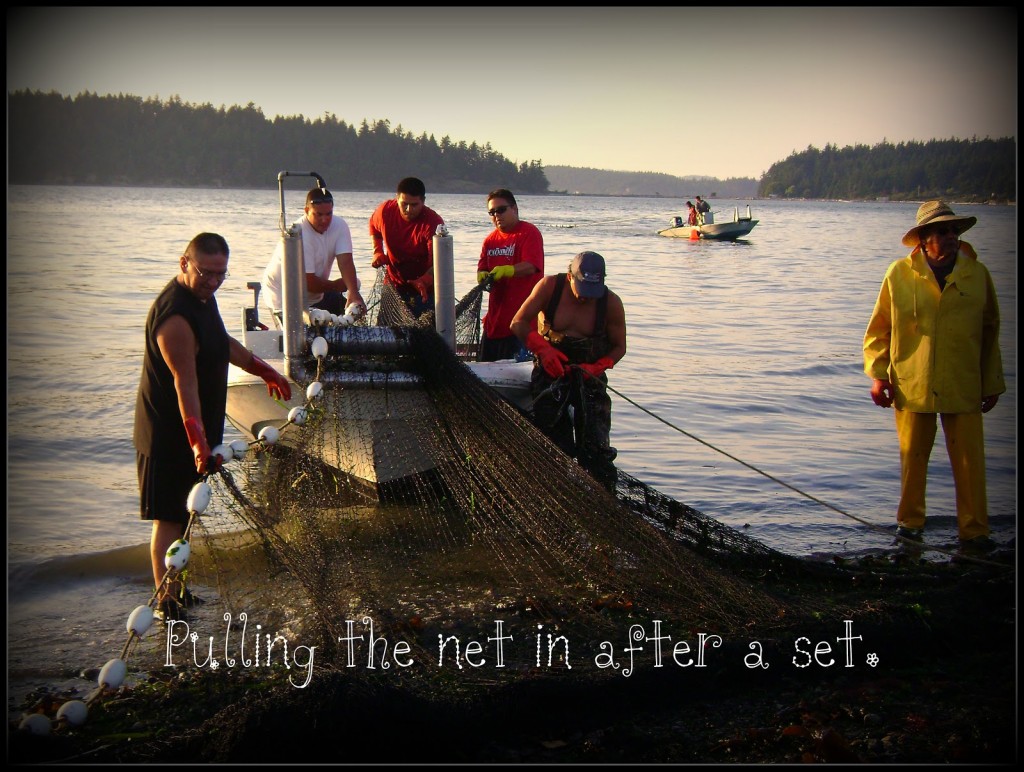 Fishermen Pulling Net