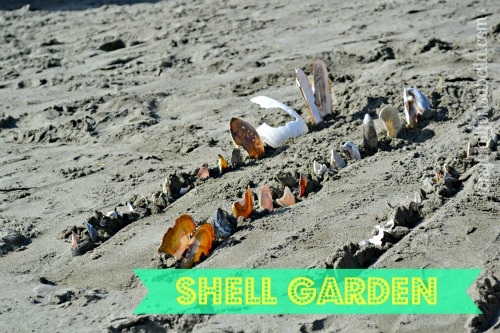shell garden