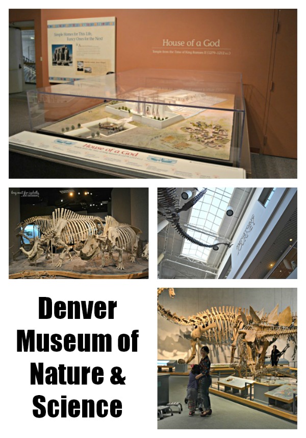denver museum collage
