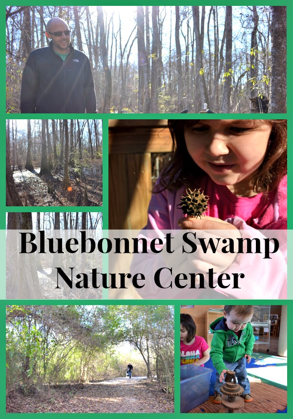 bluebonnet swamp 2
