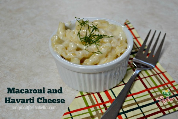 macaroni and havarti cheese recipe 2
