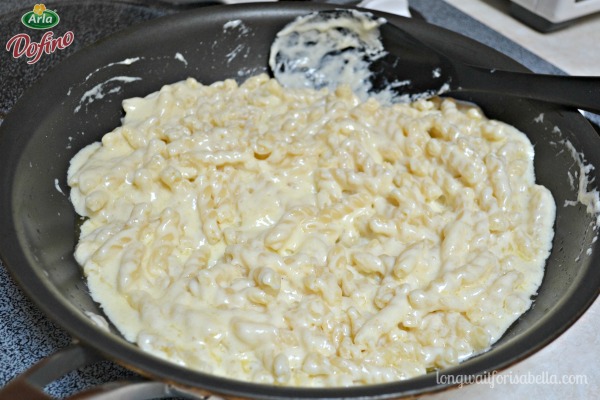 macaroni and havarti cheese