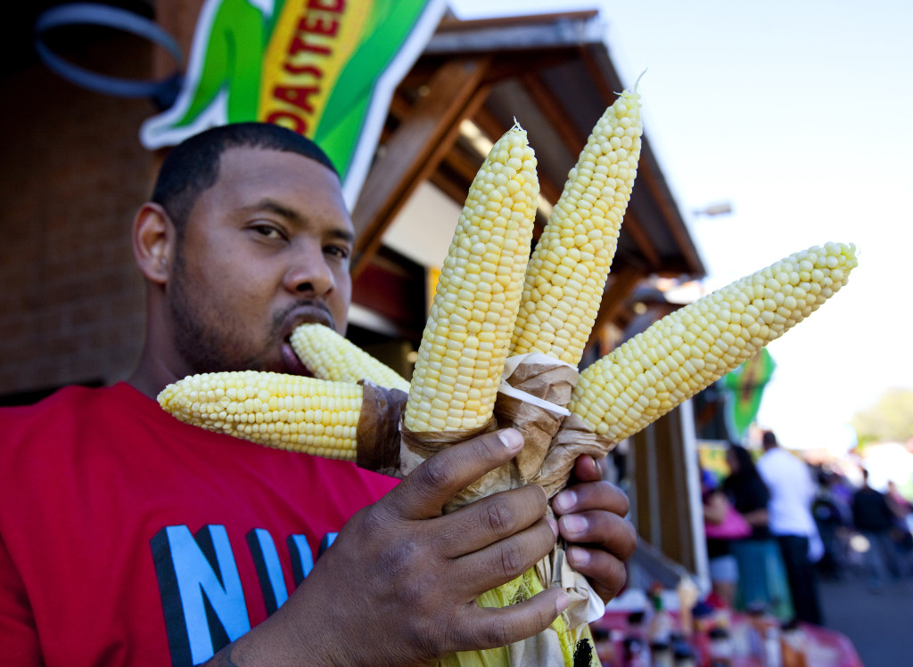 Spring Fair 2014