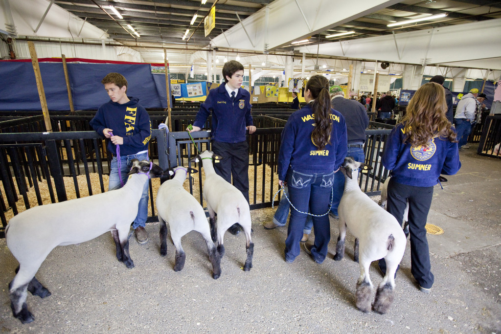 WA State Spring Fair 2013