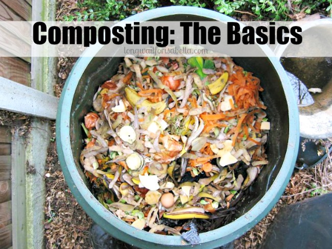 Composting Basics