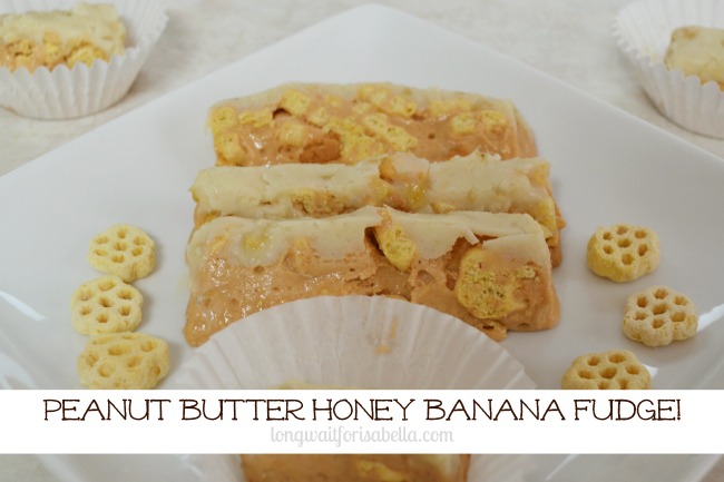 PB Honey Banana Fudge 2