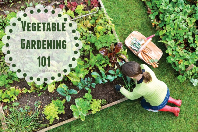 Vegetable Gardening 101