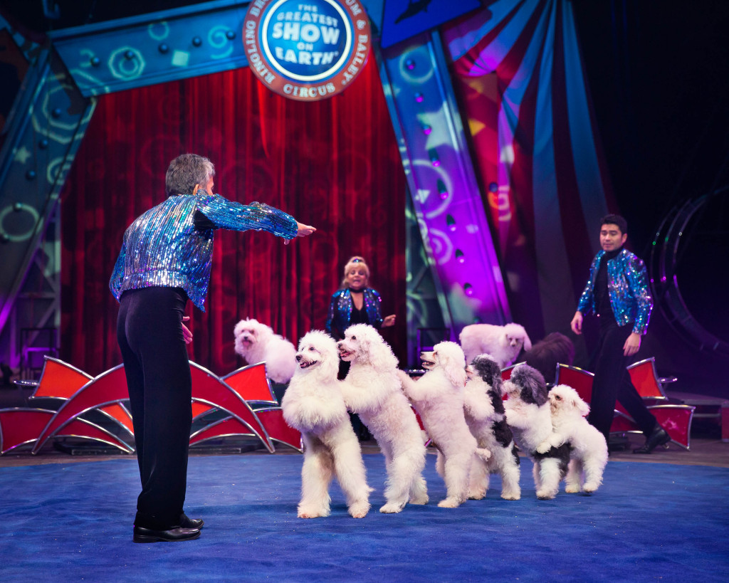 circus dog show