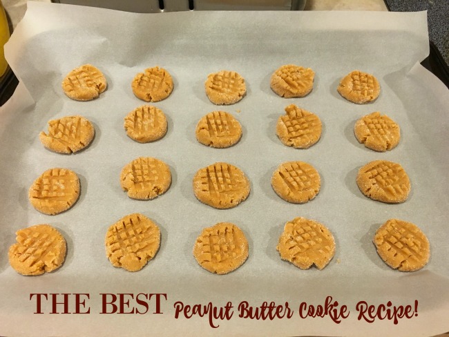 Peanut Butter Cookie Recipe