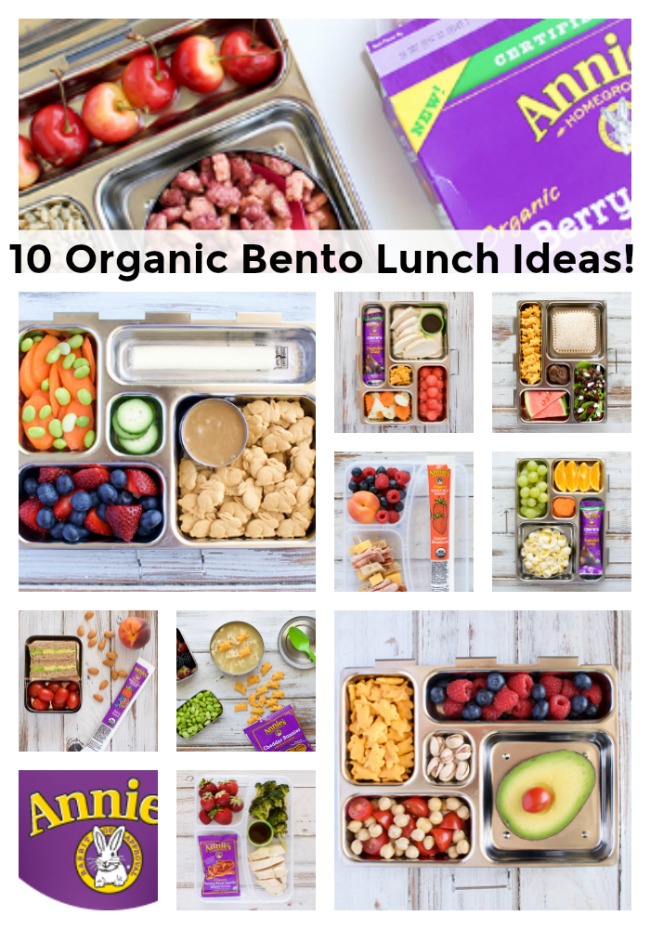 Organic Bento Lunch Ideas