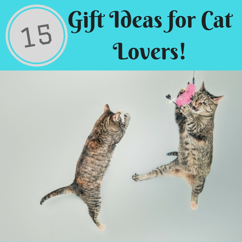 cat-lovers-gift-ideas