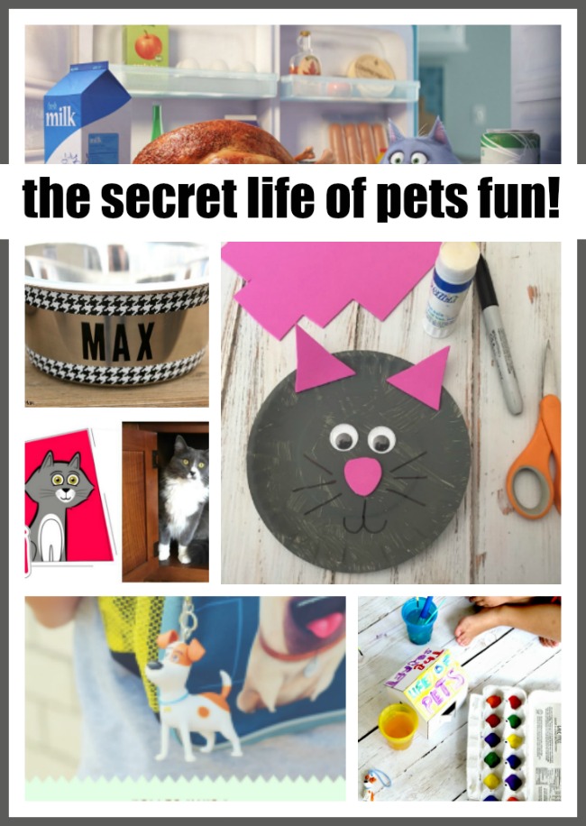 the-secret-life-of-pets-fun