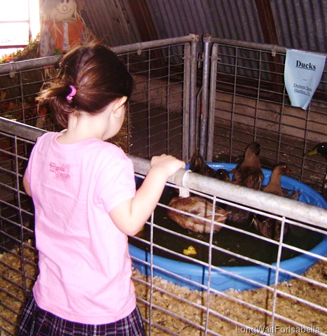 Field Trip to the County Fair