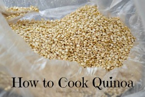How to Cook Quinoa