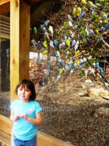 indianapolis zoo