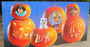 indianapolis zoo