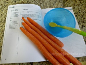 blender baby food