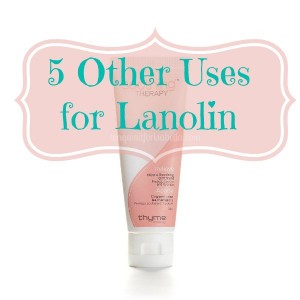 uses for lanolin