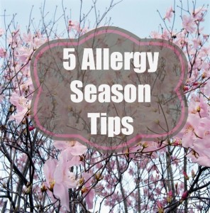 5 Allergy Season Tips