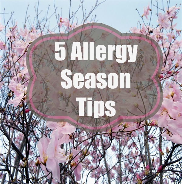 5 Allergy Season Tips