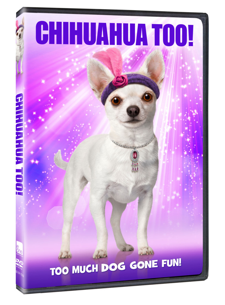 Chihuahua Too DVD
