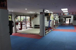 Get Ready for Summer with Muay Thai Training