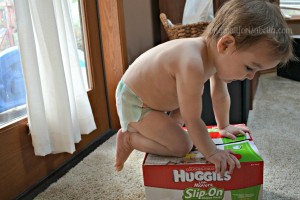 My Toddler is Climbing
