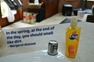 dial deep cleansing hand soap