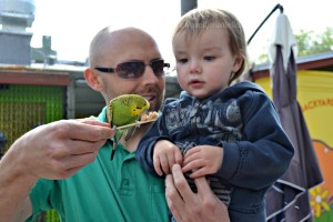 point defiance zoo