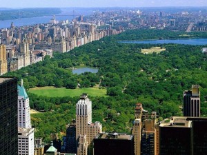 Visit Family Friendly New York