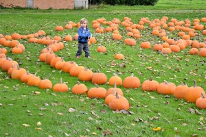 We Had Fun Visiting Swanson's Family Farm!