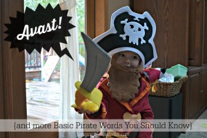 Pirate for Halloween? Here are some basic pirate words.