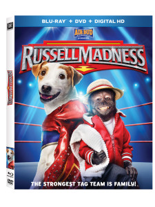 Adorable Jack Russell Terrier Movie with Free Printables!