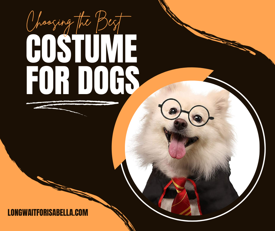 Best Halloween Costume for Dogs
