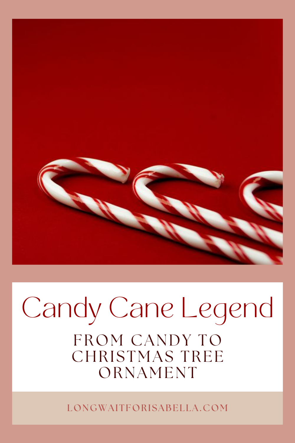 What's in a Candy Cane? – The Lion Ledger